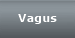 Vagus